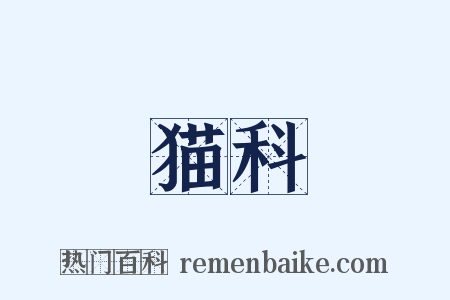 猫科是什么意思的图片